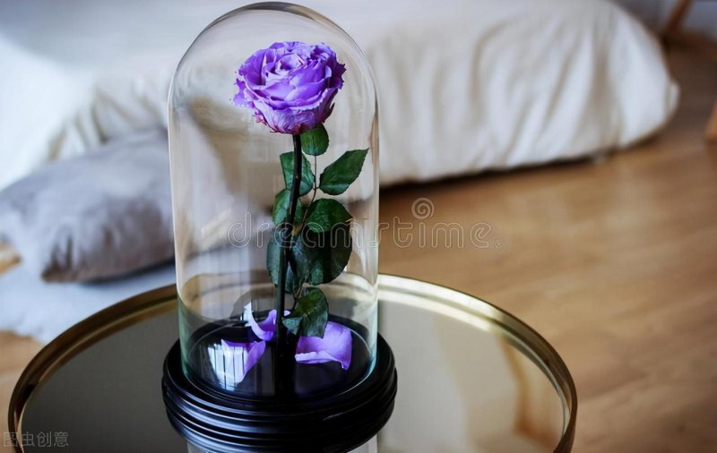 八朵玫瑰花代表什么意思（1到99朵玫瑰的含义）